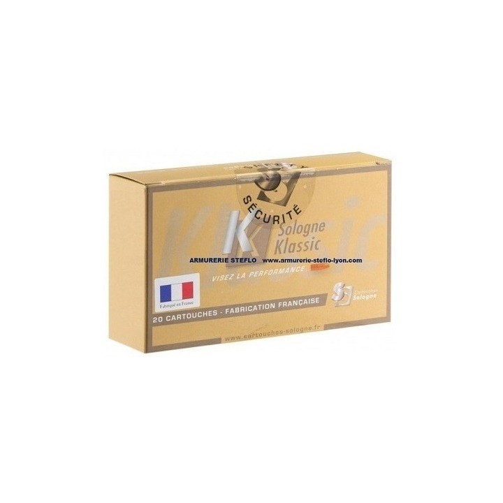 Sologne 240 Wby Mag Nosler BT - 95 grs