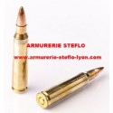 Fiocchi 223 Rem - FMJ - 55 grs (x50)