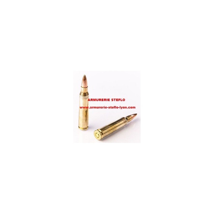 Fiocchi 223 Rem - FMJ - 55 grs (x50)