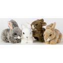 Peluche Lapin couché  - 17cm