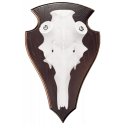 Faux crâne cerf alu - pivot 50mm