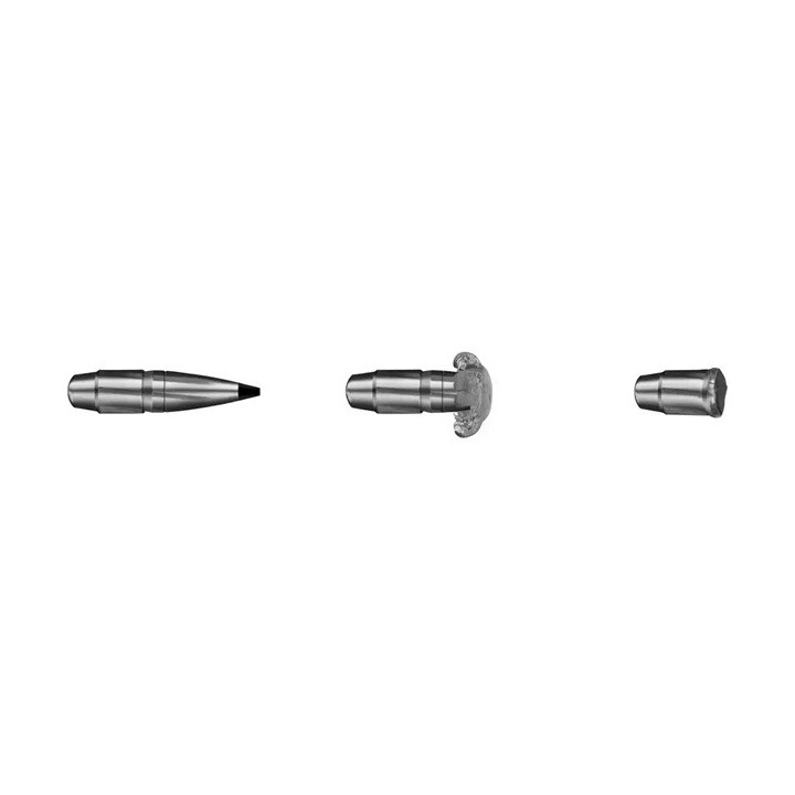 RWS 30.06 Sprg - Speed Tip Pro - 165grs - (x20)
