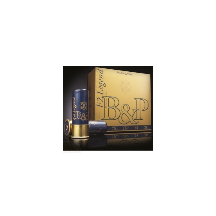B&P - F2 Legend 28 - T3