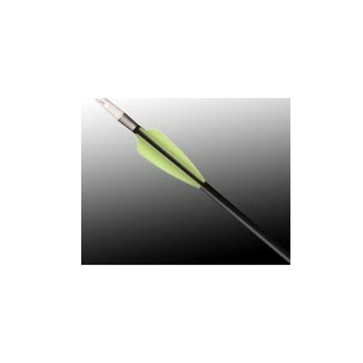 glow in the dark vanes-archerie-steflo