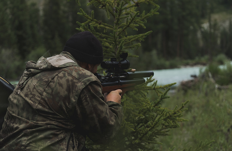 Armes de chasse